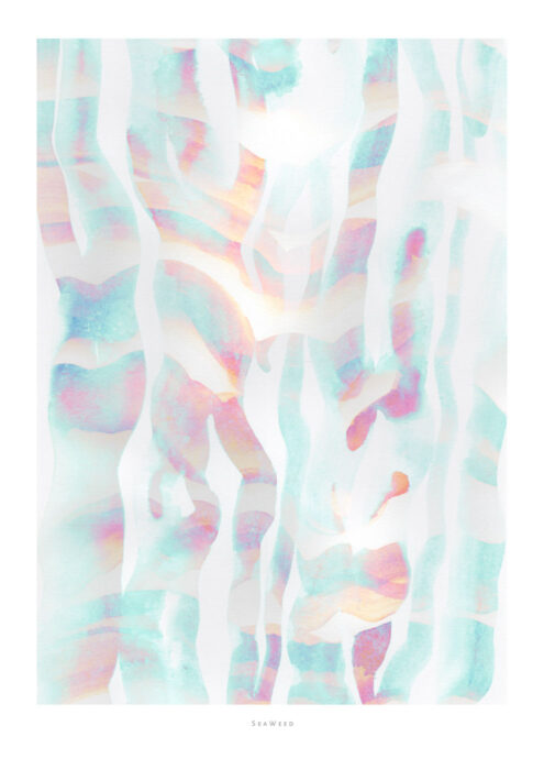 Colorful Trunks