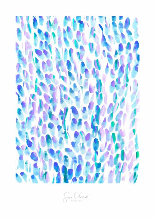 Blueberries 1/2