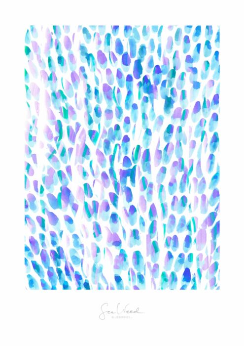 Blueberries 2/2