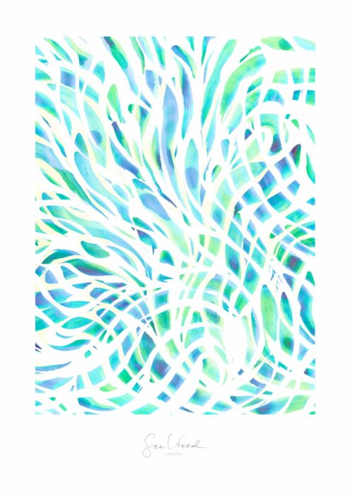 Lagoon 1/2