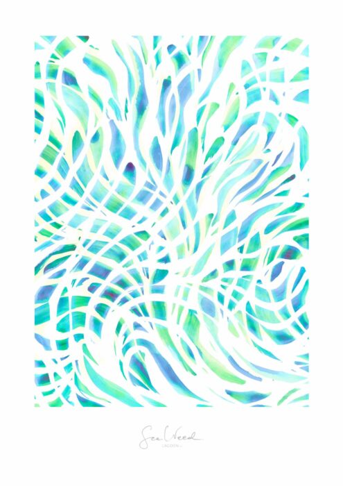 Lagoon 2/2