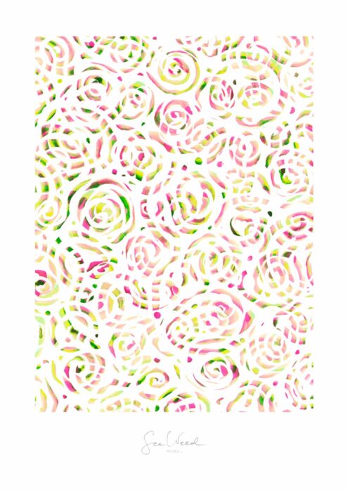 Roses 2/2