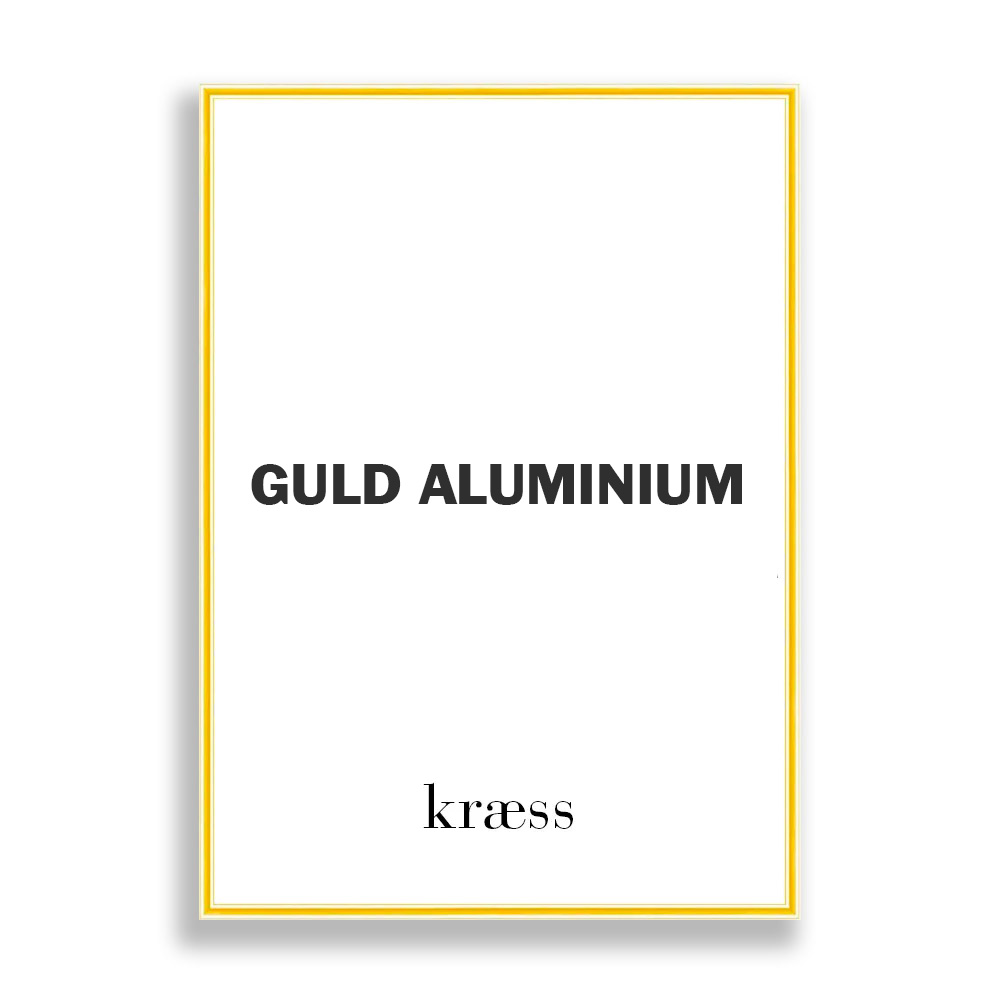 Guld Aluminium Ramme • Butik København